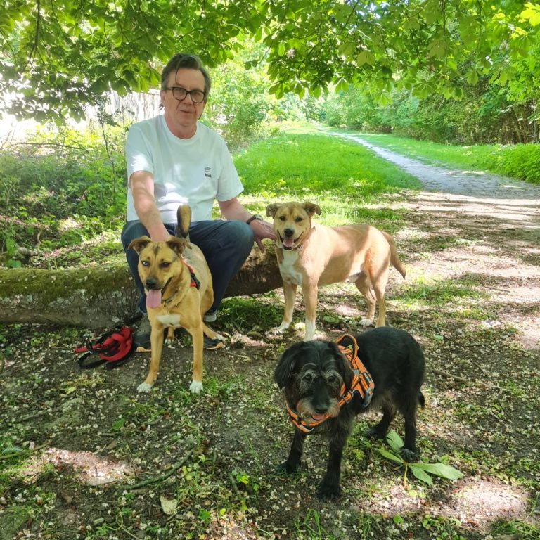 A 150 mètres du bois du Piple : 110 hectares de nature et en jonction avec la foôret communale de Gros Bois et la fôret domaniale de Notre Dame. Garde et ballade de chiens 94